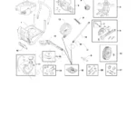 BRIGGS AND STRATTON, 020569-03, IPL.4 thumbnail